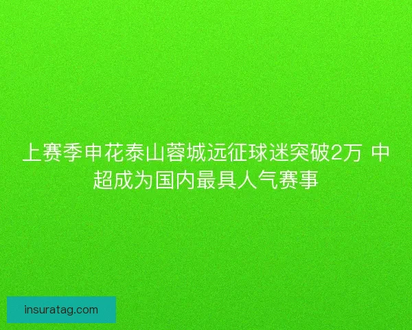 上赛季申花泰山蓉城远征球迷突破2万 中超成为国内最具人气赛事