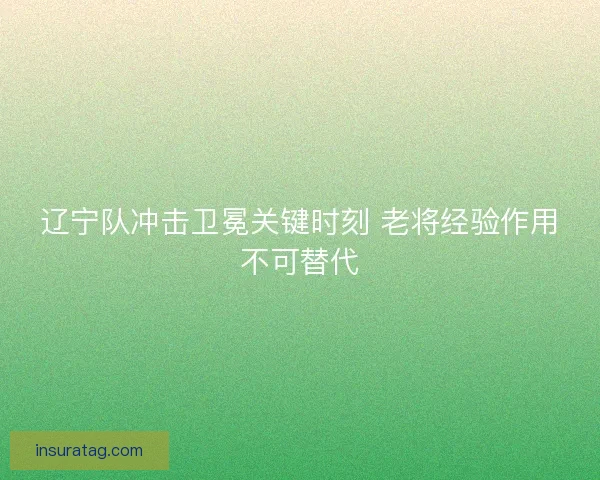 辽宁队冲击卫冕关键时刻 老将经验作用不可替代